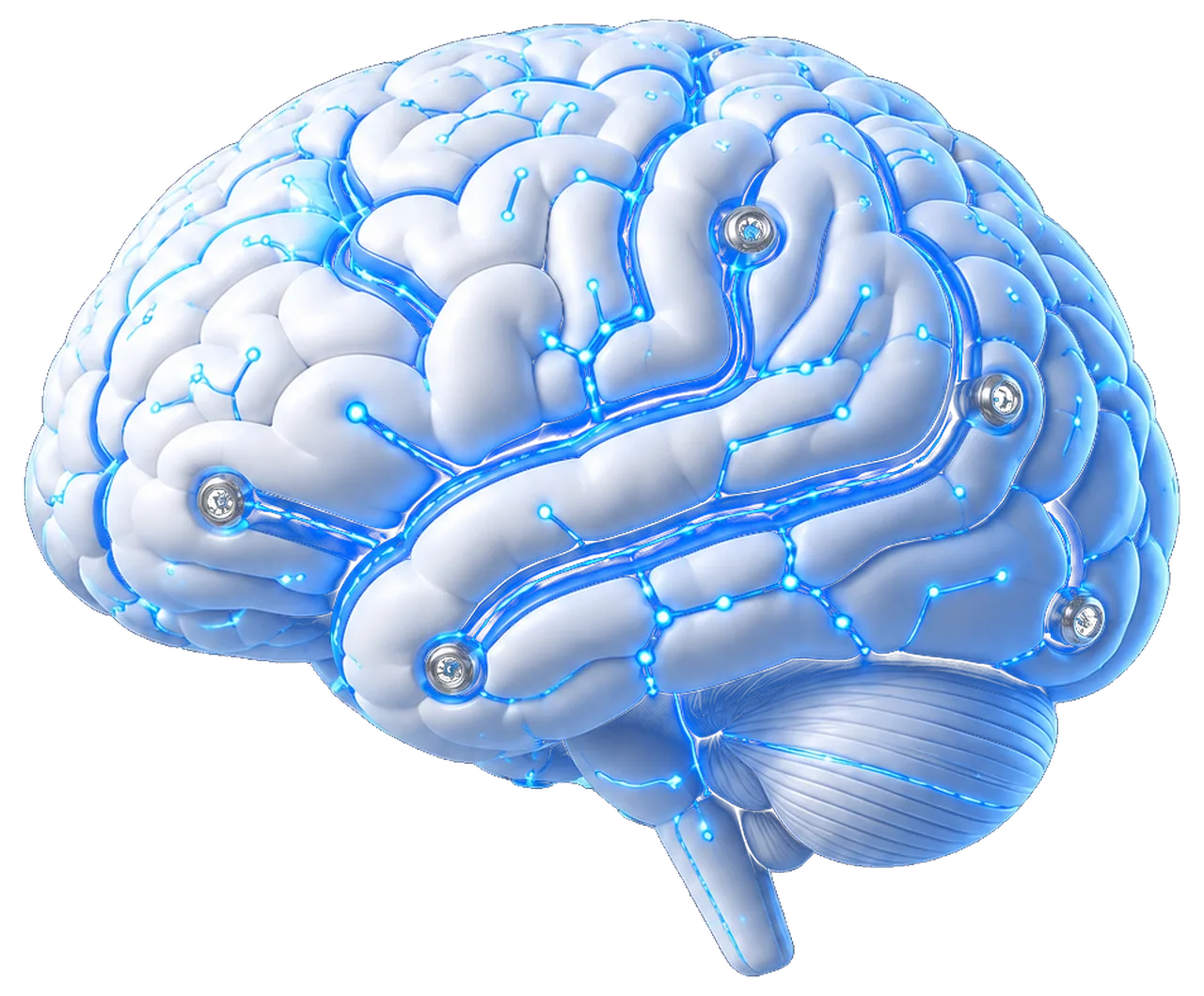 The same brain, wired and lit